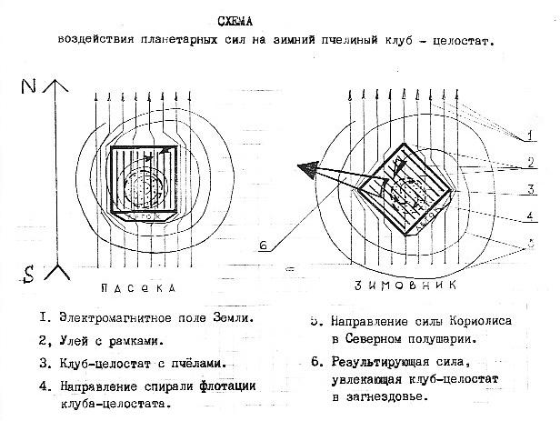 схема